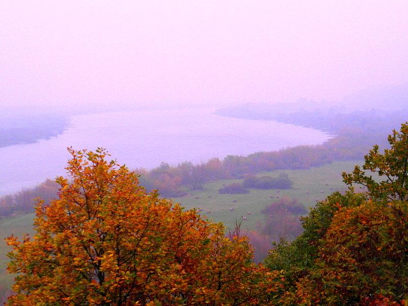 Wisła - rezerwat Wiosło Duże i Małe