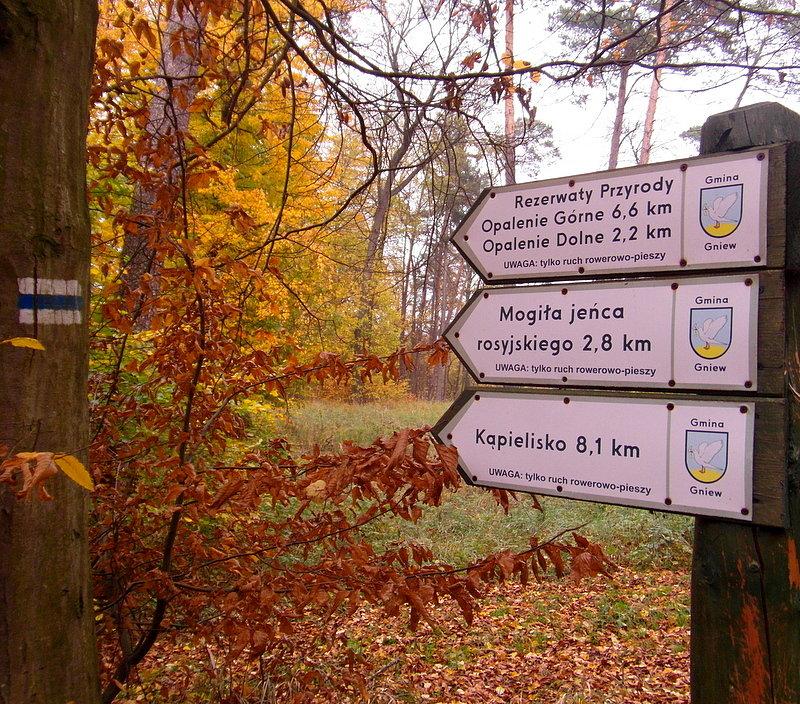 Rezerwat Wiosło Duże i Małe