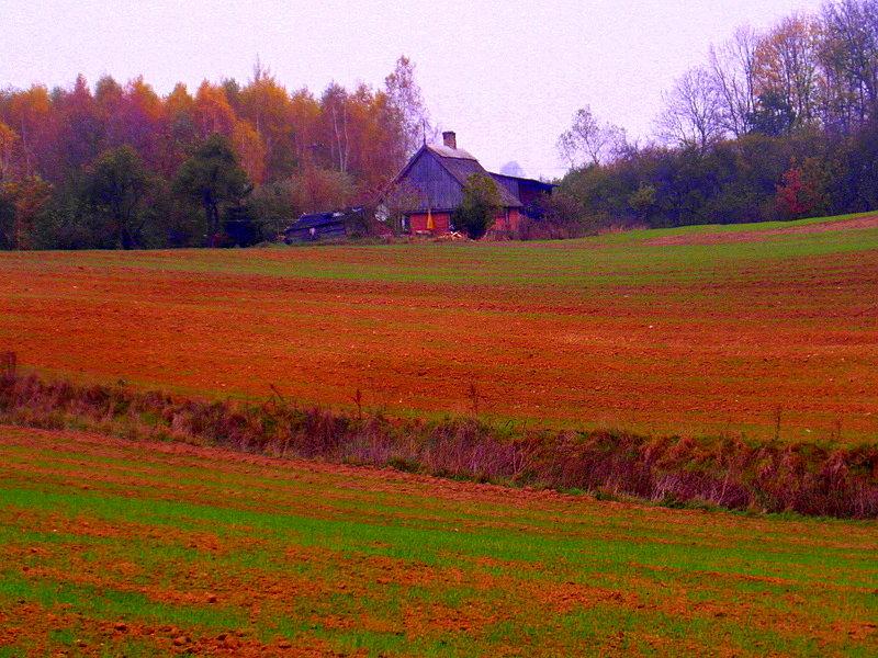 Kierunek Półwieś