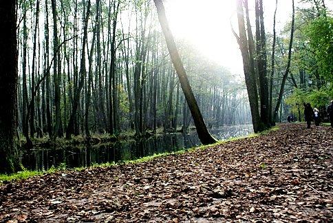 Niebieskie Źródła w liściach