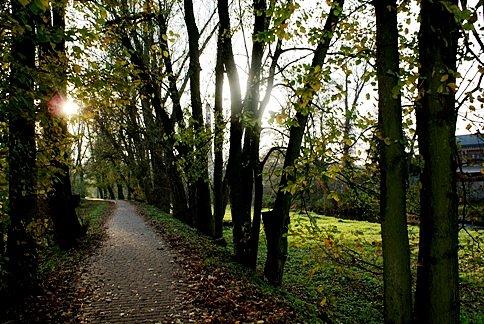 Deptakiem wzdłuż Wolbórki