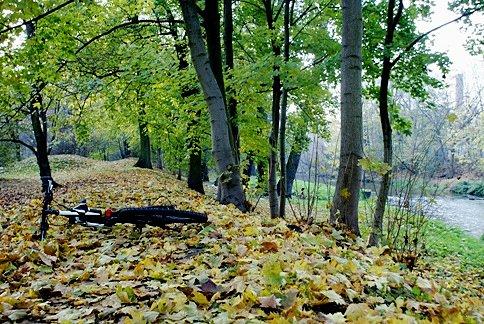 Czas na leżakowanie, brakuje tylko kołderki :)