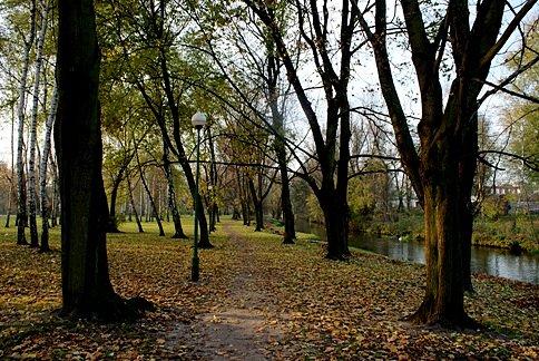 Jesienną aleją