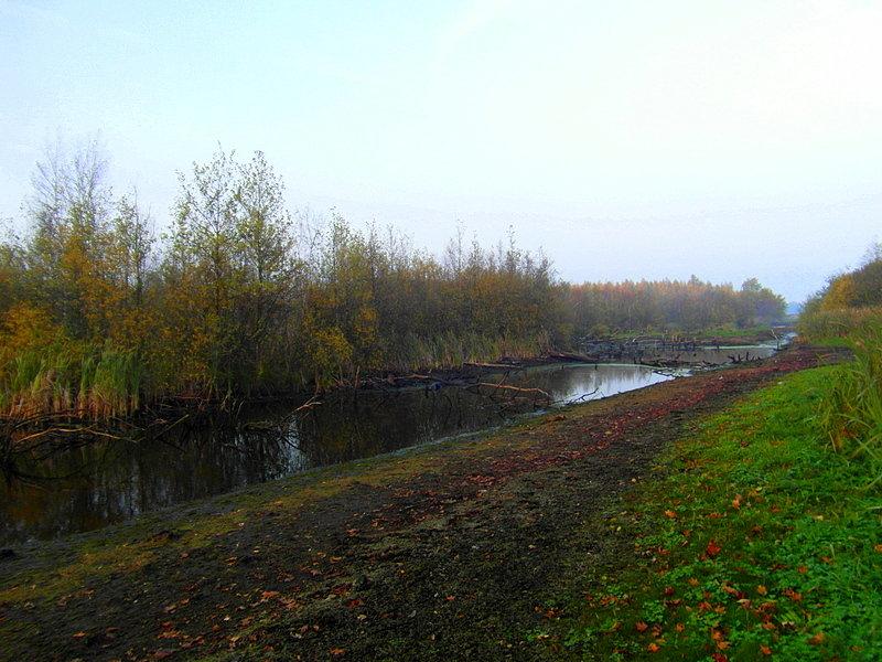Chyba wysuszają rozlewisko w Szczerbięcinie
