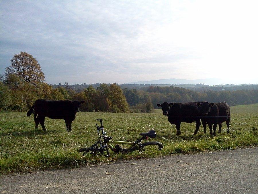 Byczki i Beskidy
