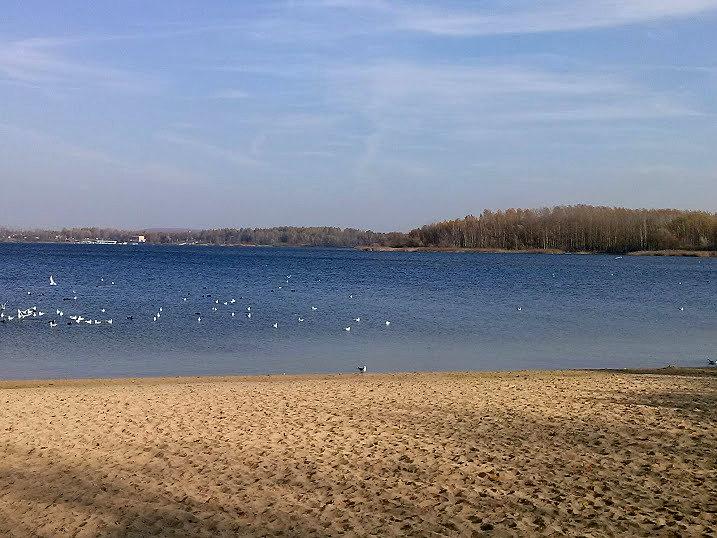 Pogoria III