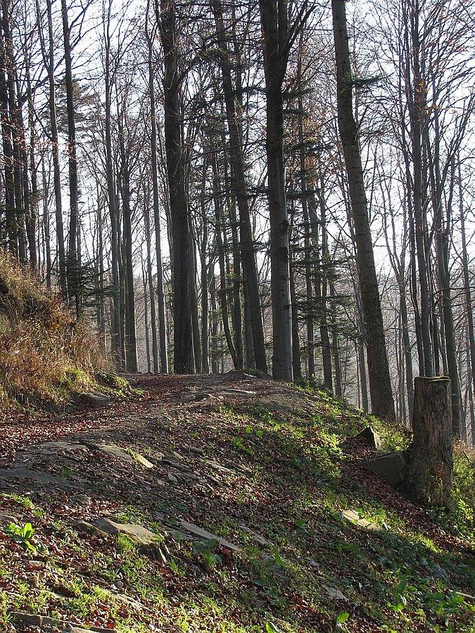 Podjeżdżałby