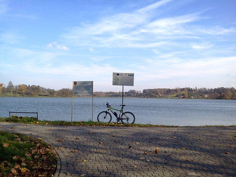 Staw Młyńszczok w Zebrzydowicach