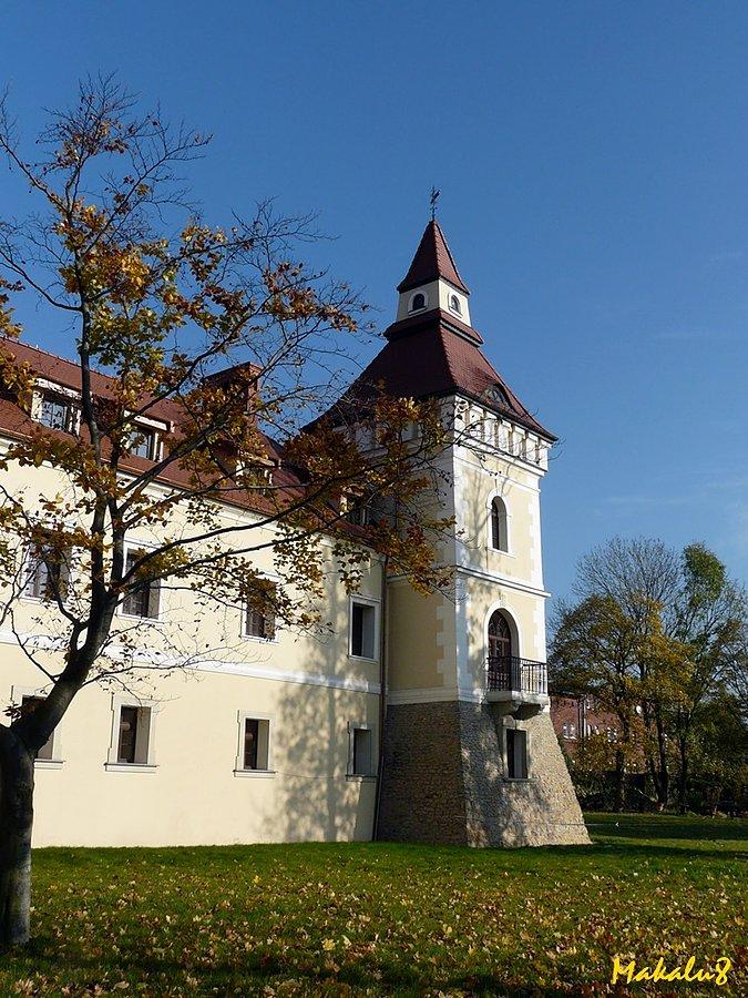 Stare Tarnowice - zamek