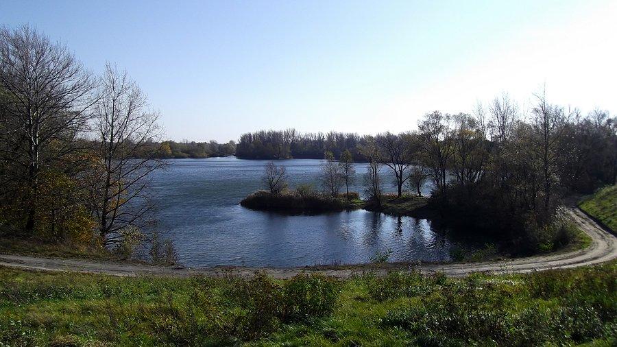 Polder Buków