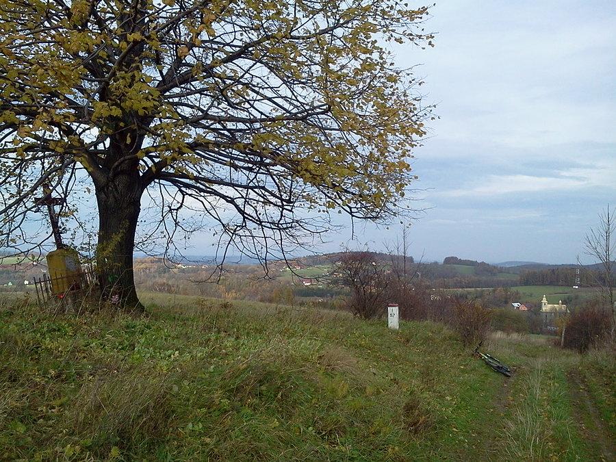 Zjazd do Lesznej