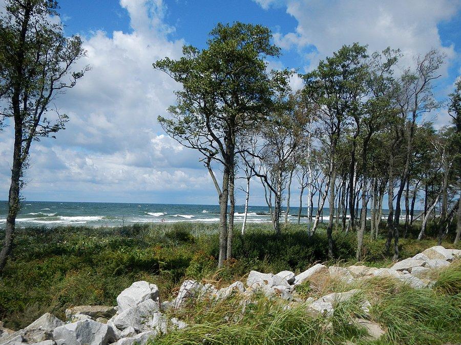 Widok na morze ze ścieżki przy jeziorze Kopań