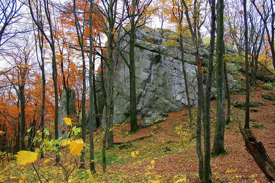 Okolice Zielonej Góry III