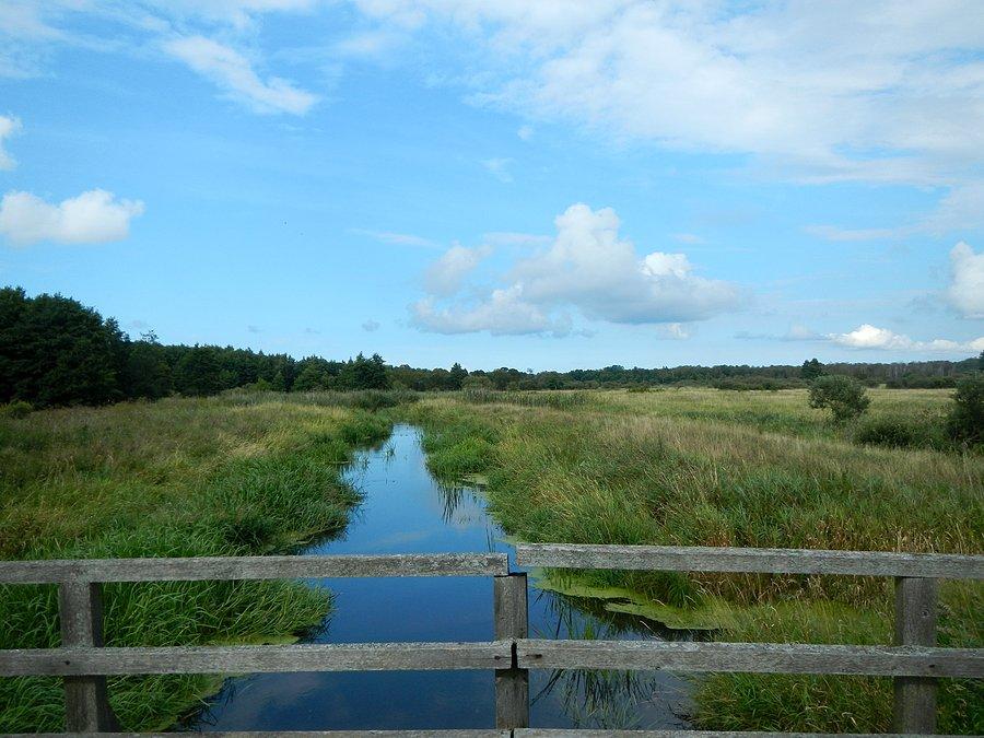 Bagna ciąg dalszy