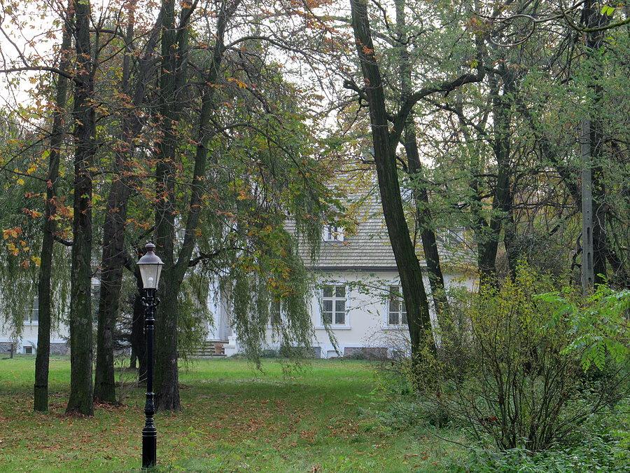 Różany