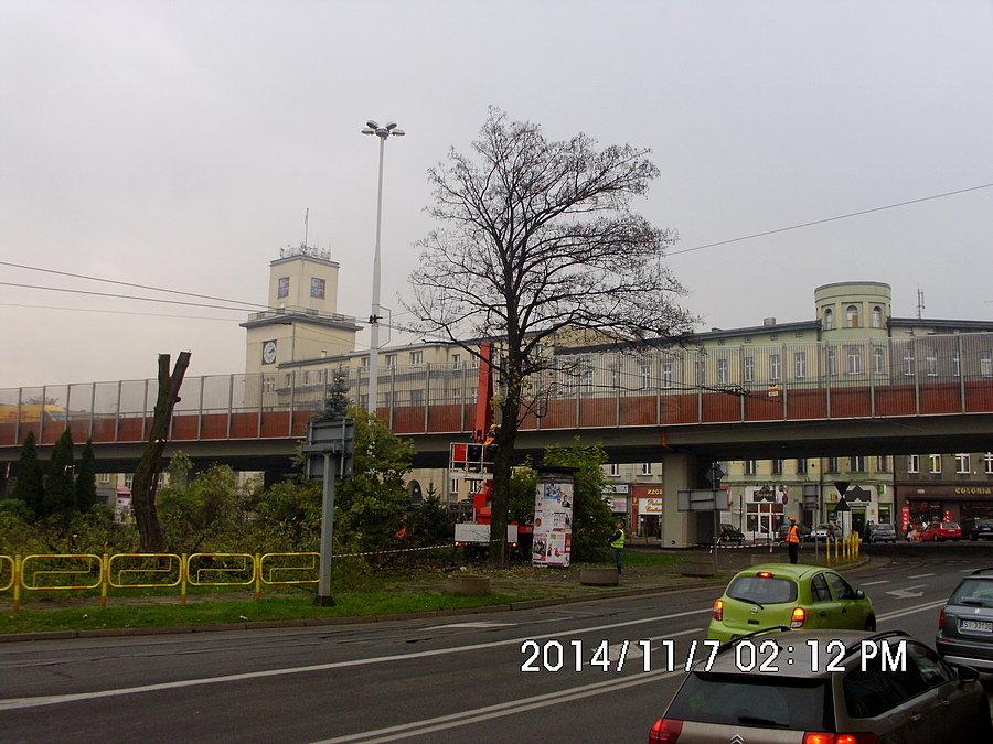 Na Rynku w Chorzowie trwa wycinka drzew związana z budową centrum przesiadkowego