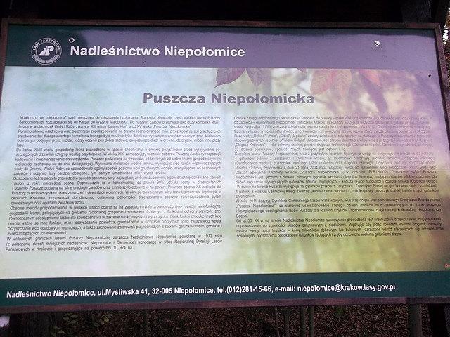 Puszcza Niepołomicka