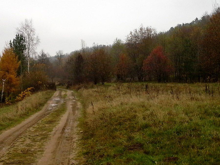 Po drodze