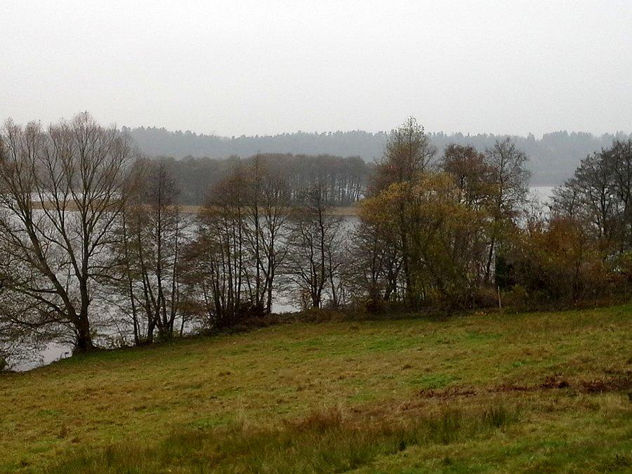 W drodze do Ręboszewa
