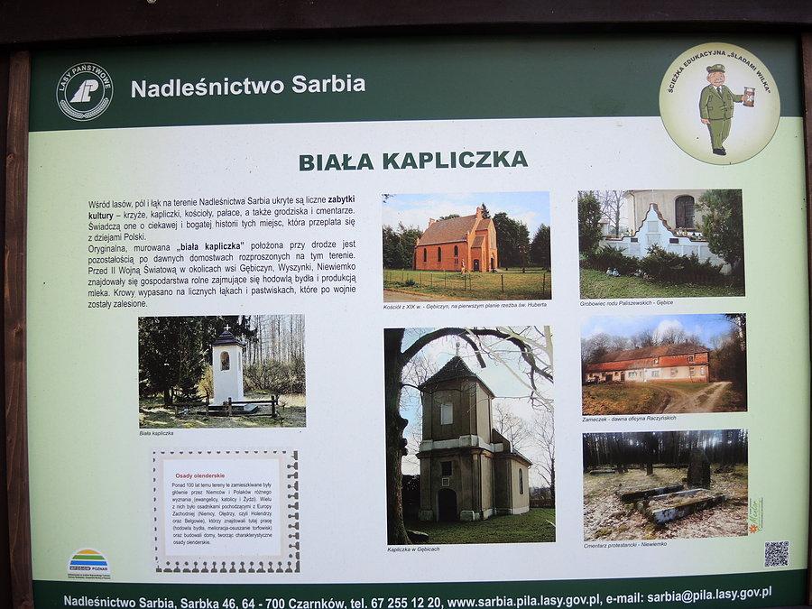 Zbliżenie na tablicę