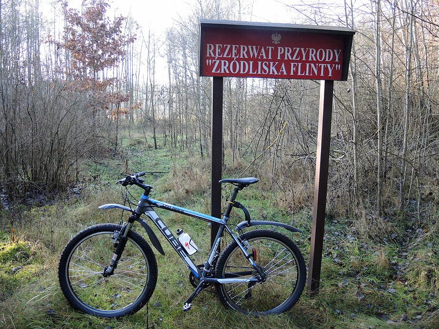 Rezerwat Przyrody Źródliska Flinty