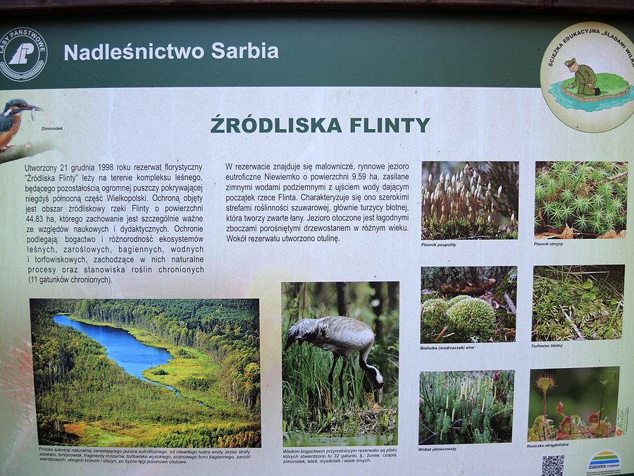 Zbliżenie na tablicę
