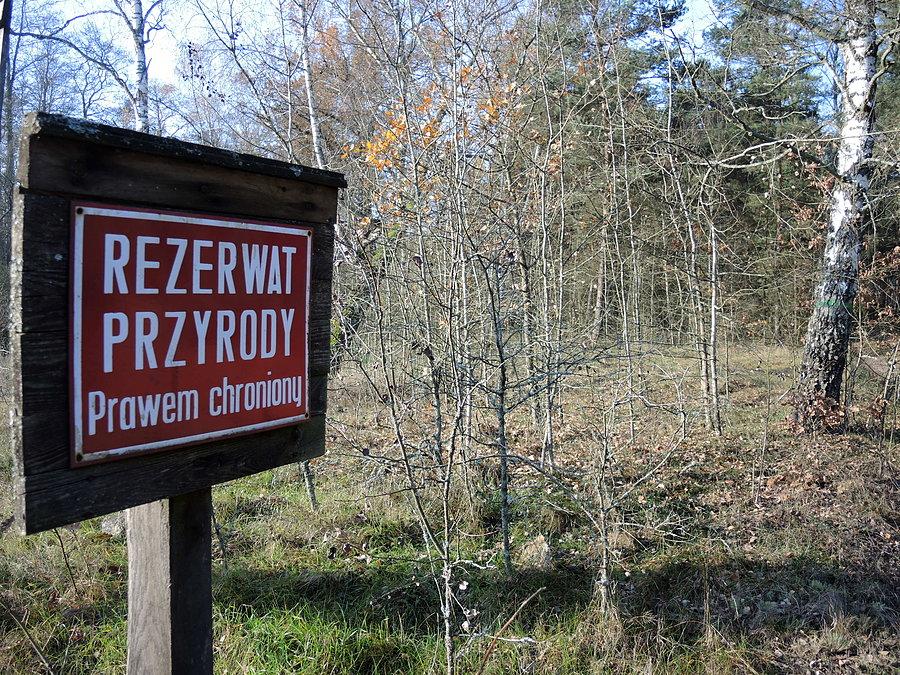 Na terenie rezerwatu