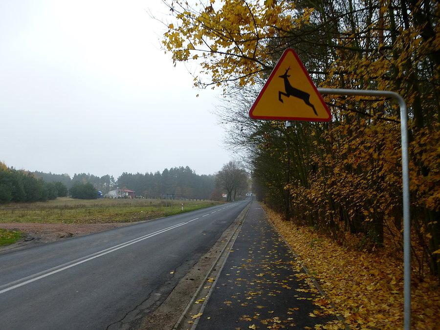 Gzińskie zmiany