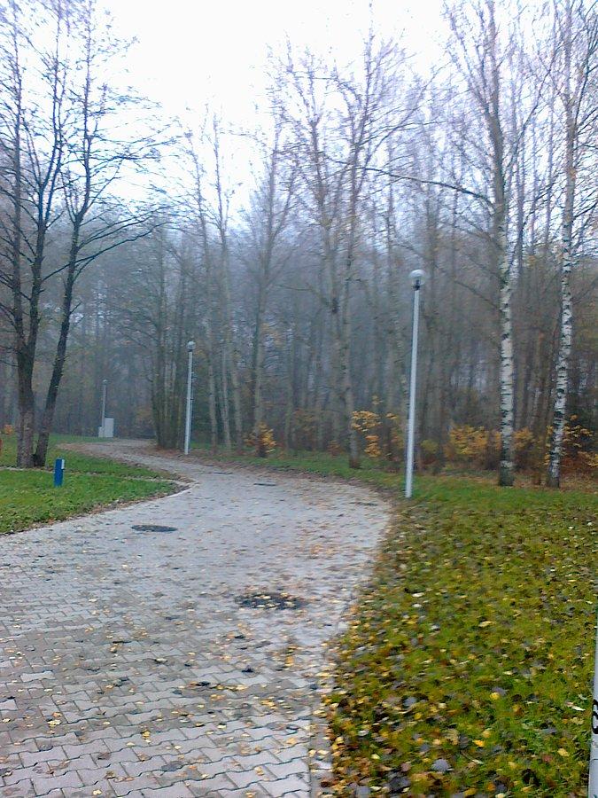 Oczywiście połozony w parku