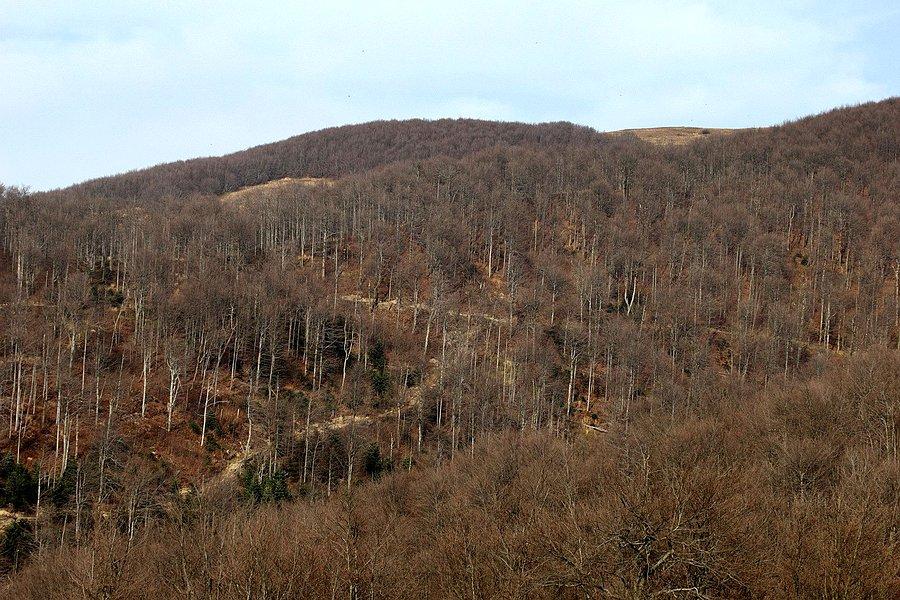 Jesienne Bieszczady