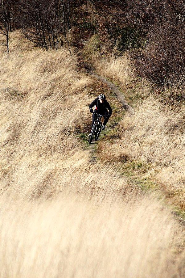 Janush Hill