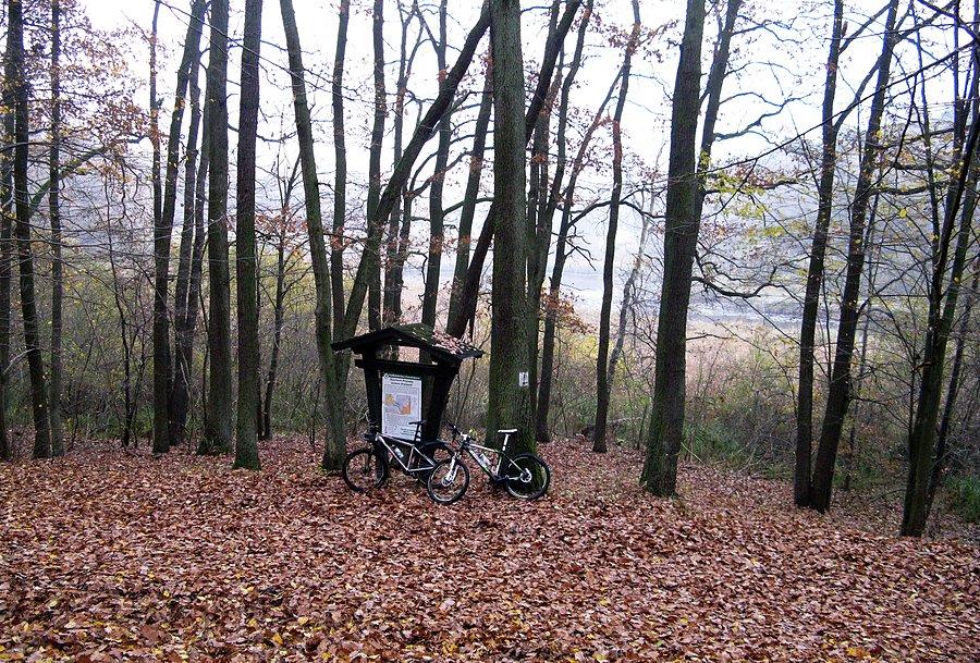 Rezerwat przyrody Jezioro Drążynek