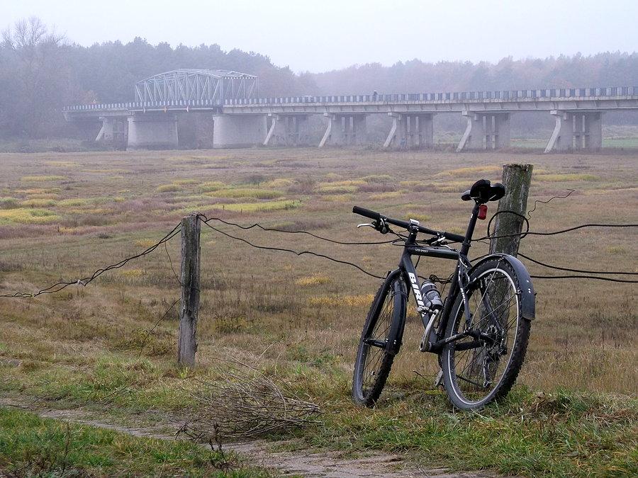 Listopadowo nad Wartą w Rogalinku