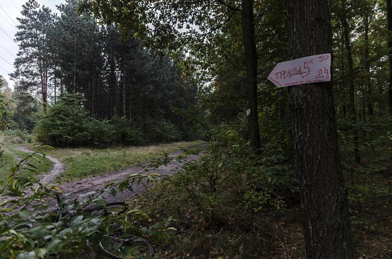 Nowe oznaczenia szlaków? :)