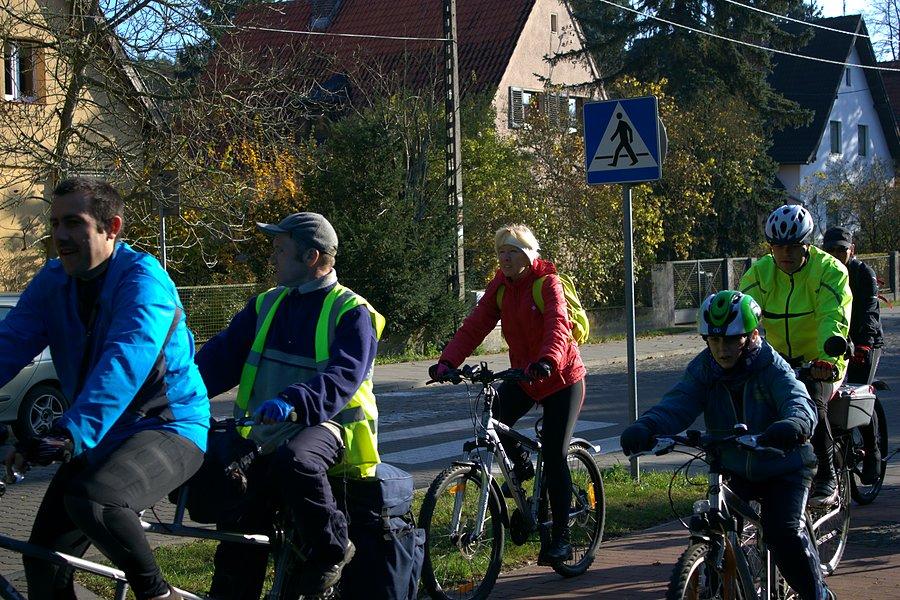 Sfora za lisicą ruszyła