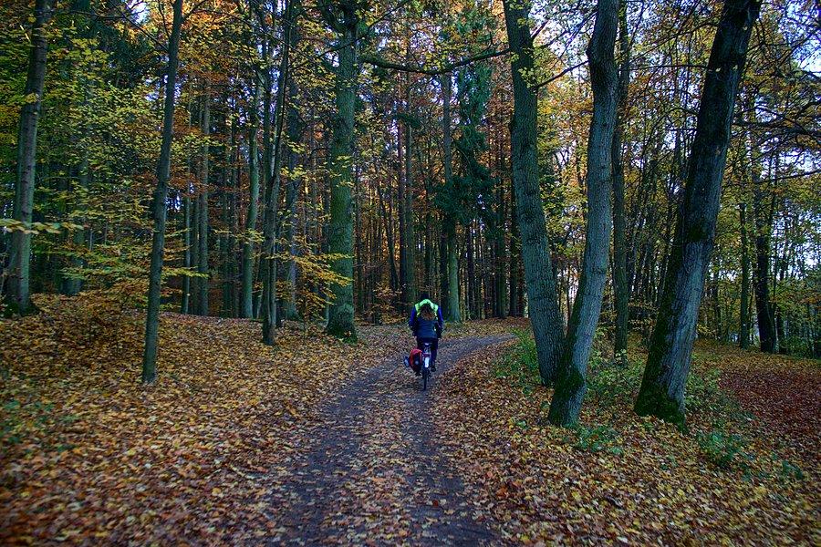 Wracamy do Szczecina