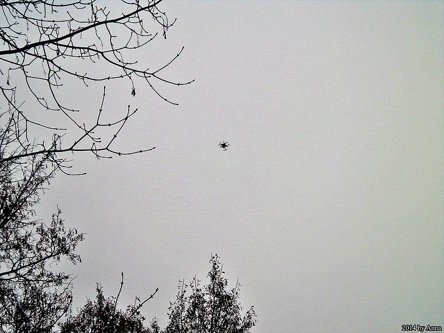 A, to tylko policyjny dron