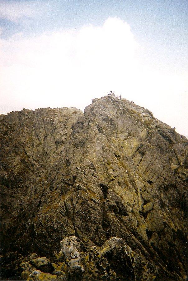 Świnica