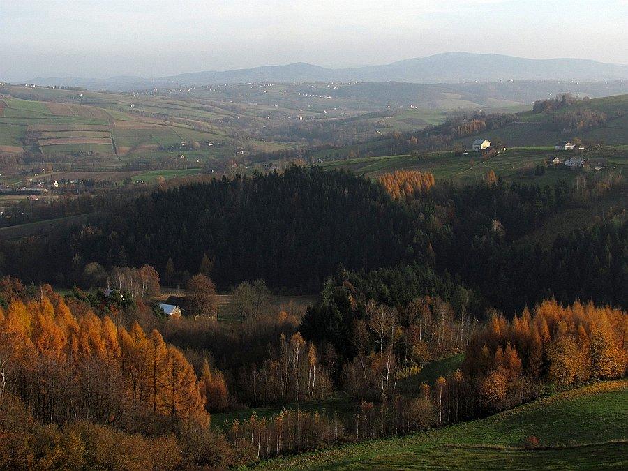 Rzut oka w stonę Pasma Magurskiego