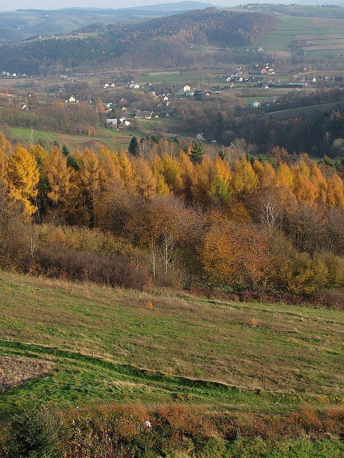 Jesień już muska lasy