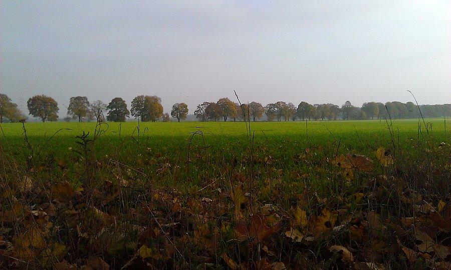 Jesienny widok