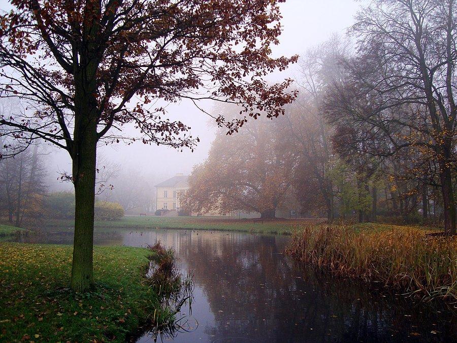 Park w Dobrzycy