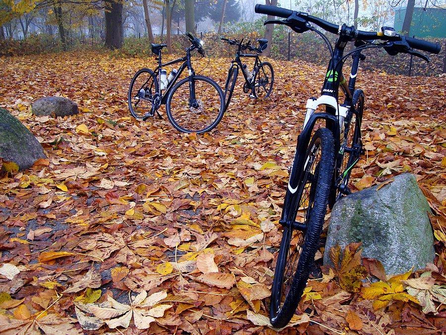 Rowerki