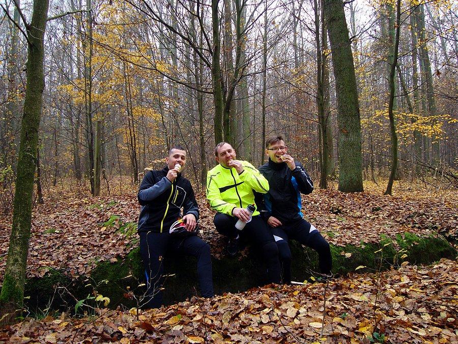 Rogale na keszowisku
