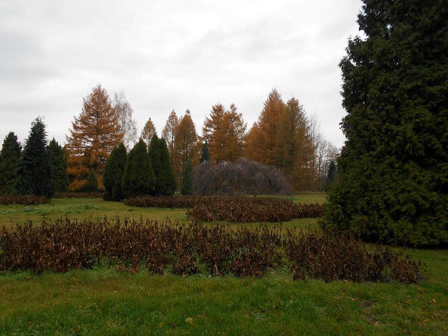 Ogród botaniczny