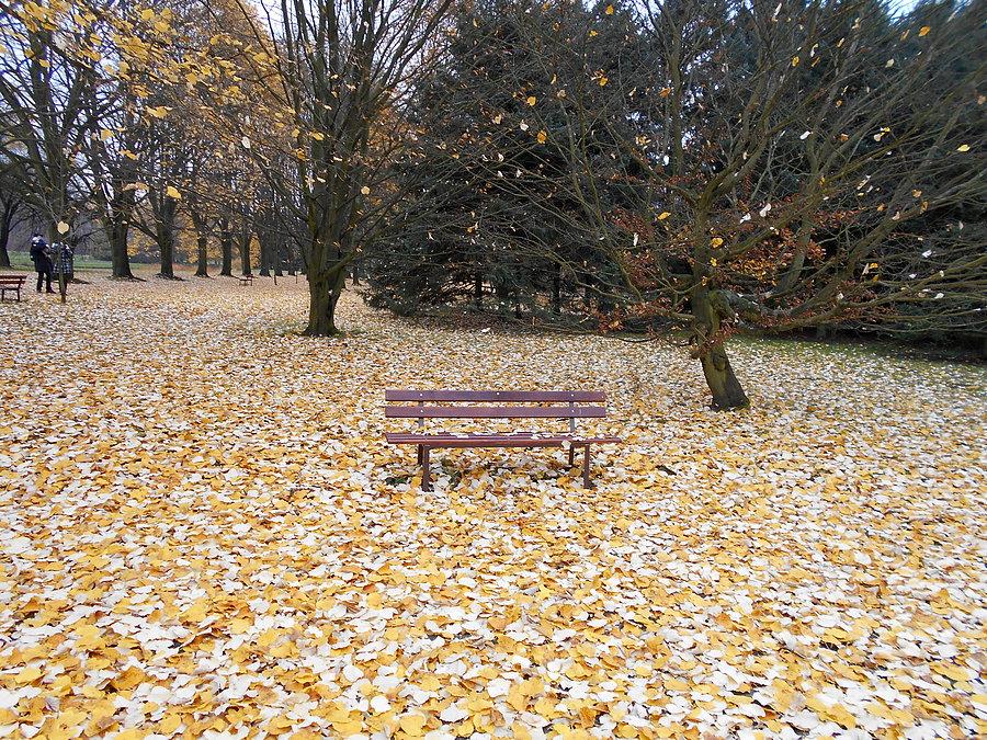 Ogród botaniczny