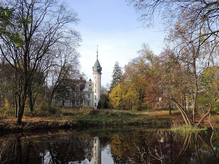 Widok na pałacod strony stawów