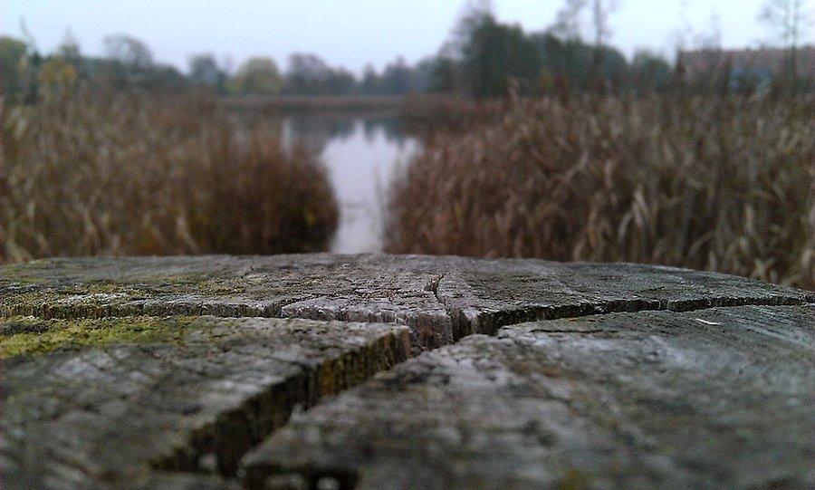 W Rosnówku na kładce
