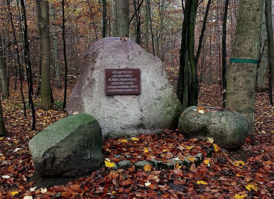 Głaz Józefa Lewandowskiego