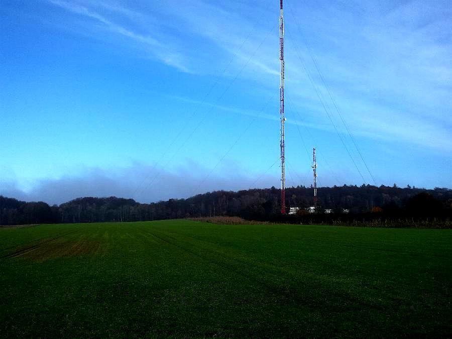 Mgła nad drzewami w Kołowie - ta szarość